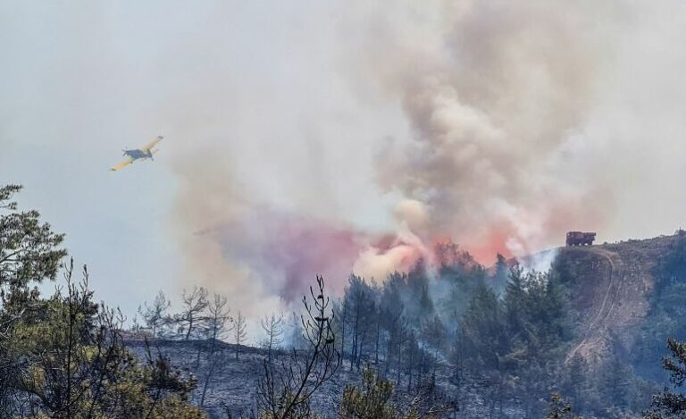 تركيا.. إجلاء أكثر من 1200 شخص بسبب حرائق الغابات التي تجتاح غربي البلاد