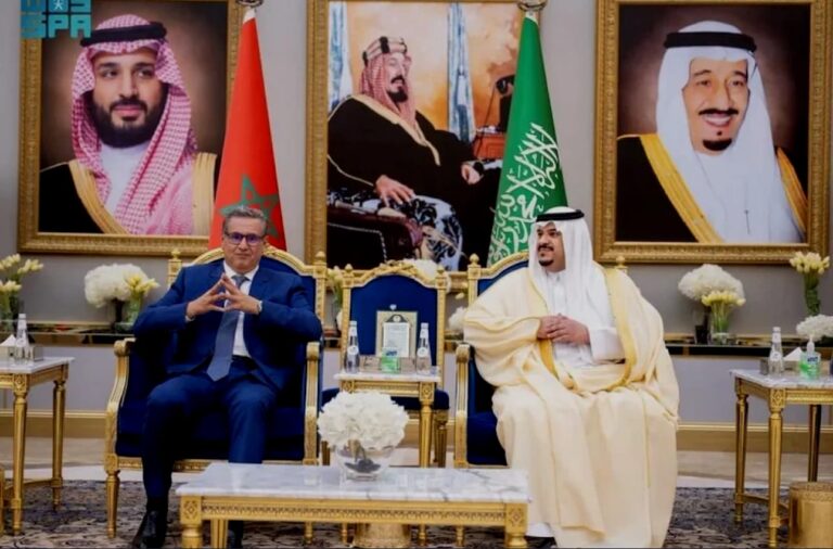 “أخنوش يمثل الملك محمد السادس في قمة عربية إسلامية طارئة بالرياض لمناقشة أوضاع المنطقة”