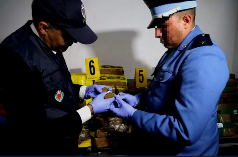 ضبط أطنان من “الشيرا” داخل شحنة دقيق السمك يورط شركة معروفة في عملية تهريب دولية