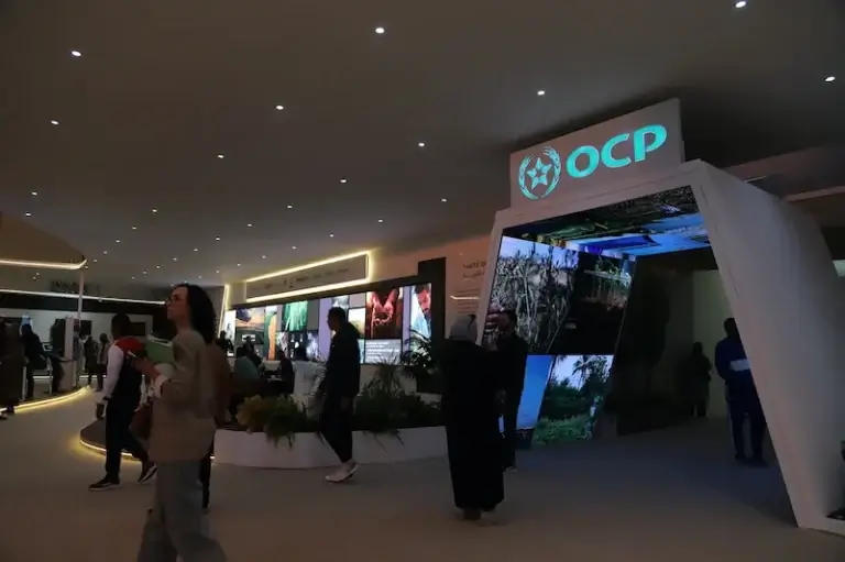 Ocp siam 6