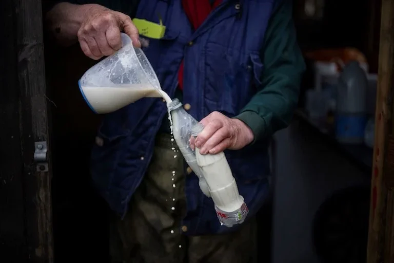 Lait copie 3