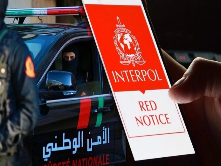 توقيف مطلوب دولياً بطنجة في قضية احتيال مالي