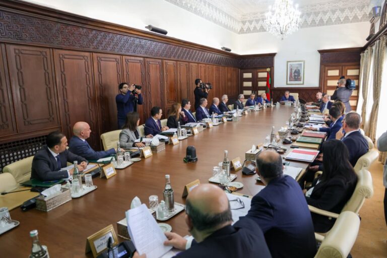 الحكومة تصادق على تعديل قانون بيع السمك بالجملة لتطوير القطاع البحري