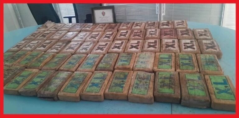 إحباط تهريب دولي لـ75 كيلوغراماً من الكوكايين بمعبر الكركارات