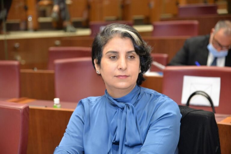 حنان رحاب تتصدر نتائج انتخابات المجلس الوطني للصحافة