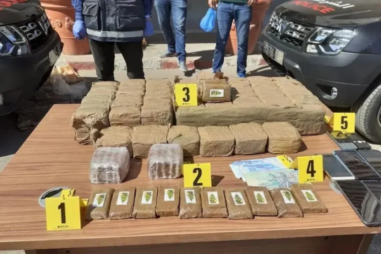 طنجة المتوسط.. إحباط تهريب 238 كيلوغراما من الشيرا وتوقيف مواطن بلجيكي من أصول مغربية