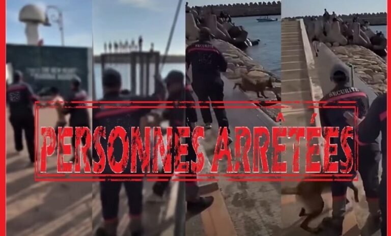 كادير.. إحالة شخصين على النيابة العامة للاشتباه في تعنيف قاصر وتحريض كلب شرس على أطفال